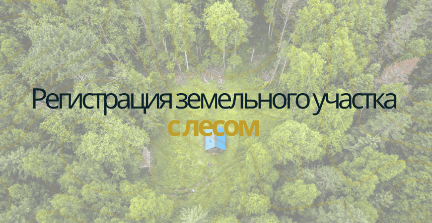 Земельный участок с лесом в Пушкино и Пушкинском районе